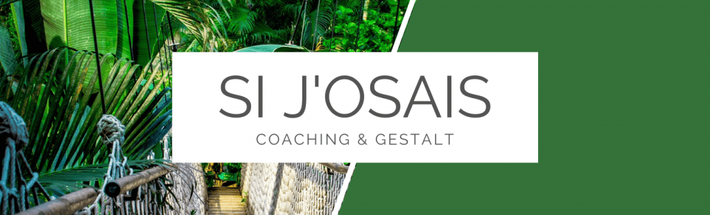 Coaching Gestalt Bilan de compétences SI J'OSAIS